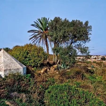623 Katiya Salema